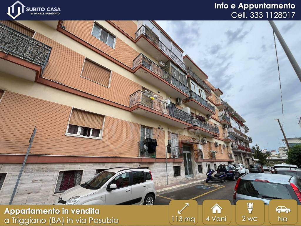 immagine annuncio 12 di 14