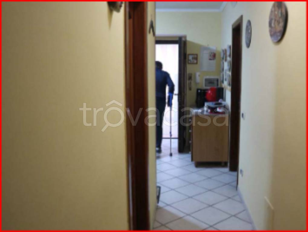 immagine annuncio 7 di 13