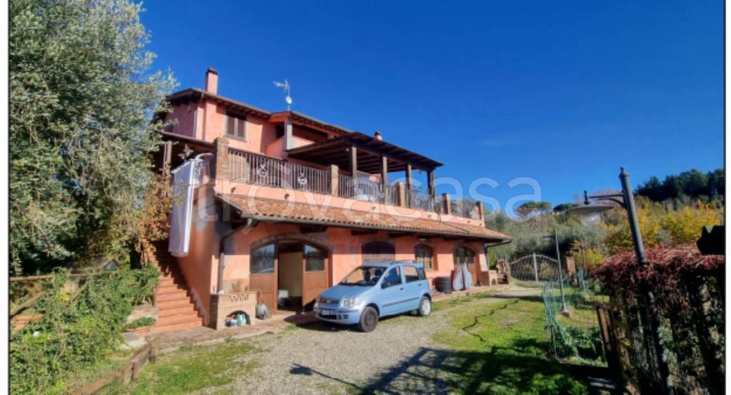 immagine annuncio 3 di 12