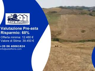 Terreno agricolo all'asta a enna contrada gallizzi