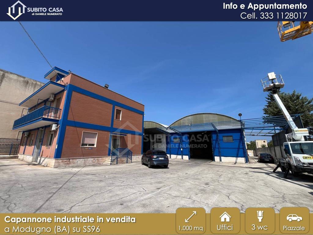 immagine annuncio 1 di 15