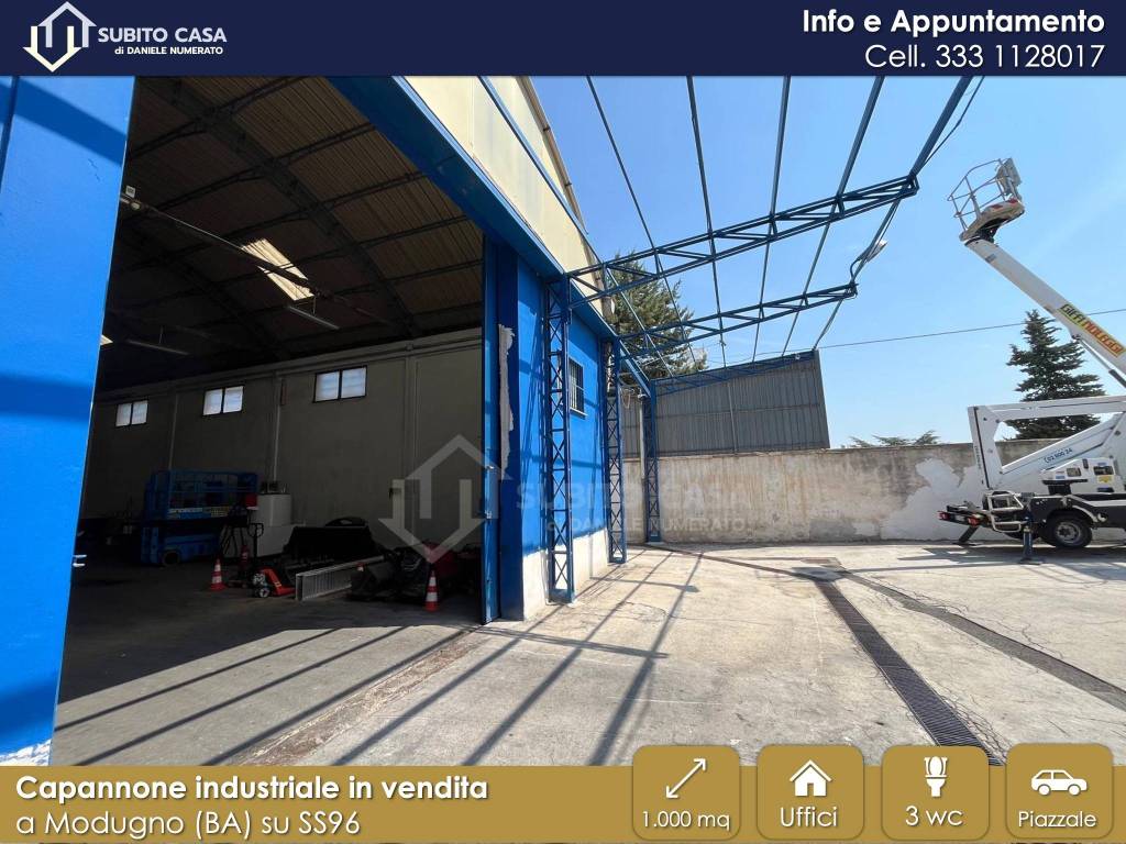 immagine annuncio 2 di 15