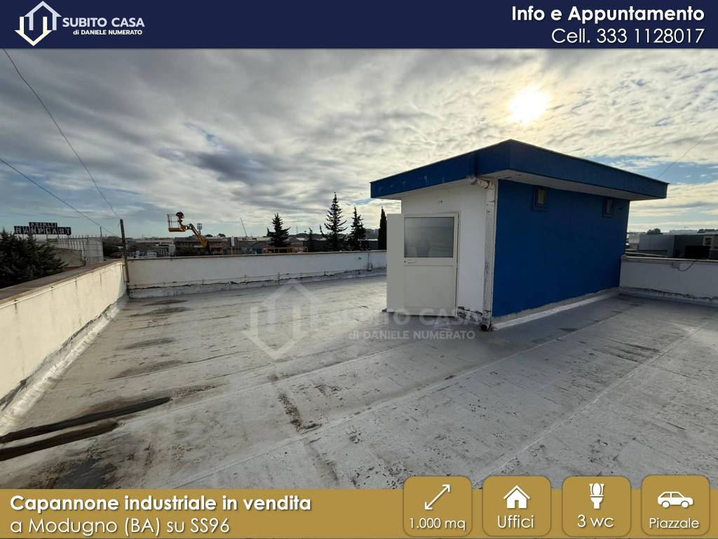 immagine annuncio 8 di 15