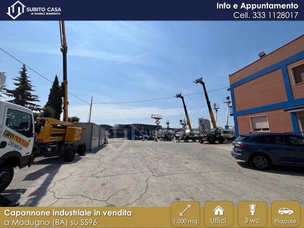 immagine annuncio 12 di 15