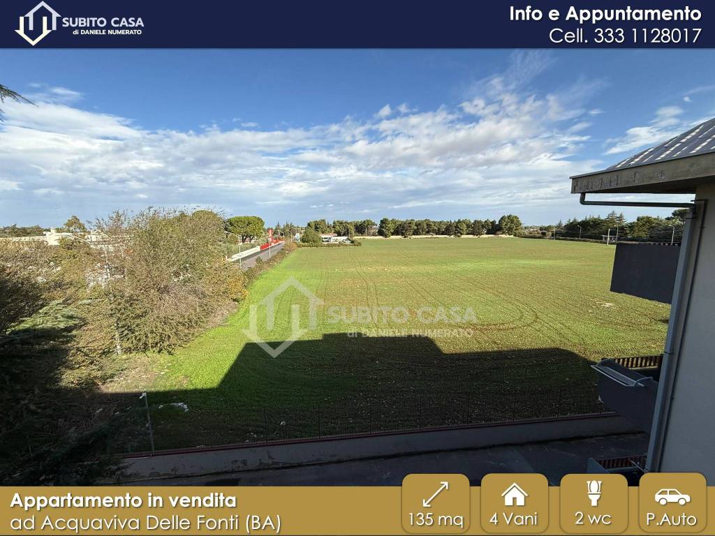 immagine annuncio 10 di 15