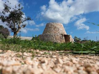 Terreno agricolo in vendita a salve sp339