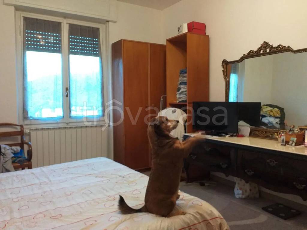 immagine annuncio 7 di 8