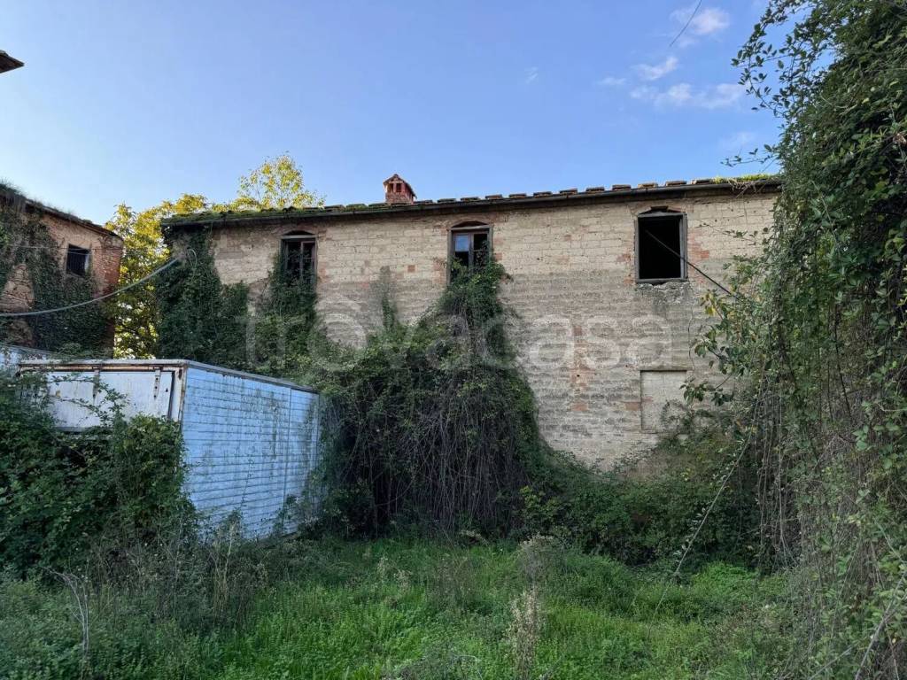 immagine annuncio 3 di 9
