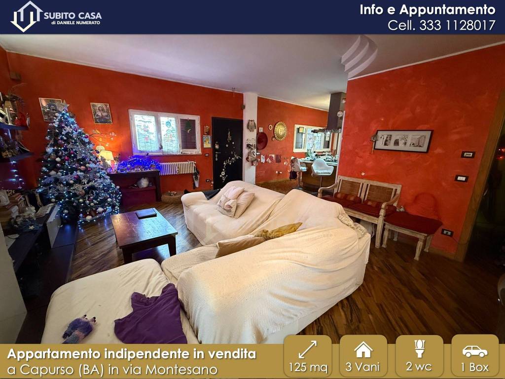 immagine annuncio 1 di 14
