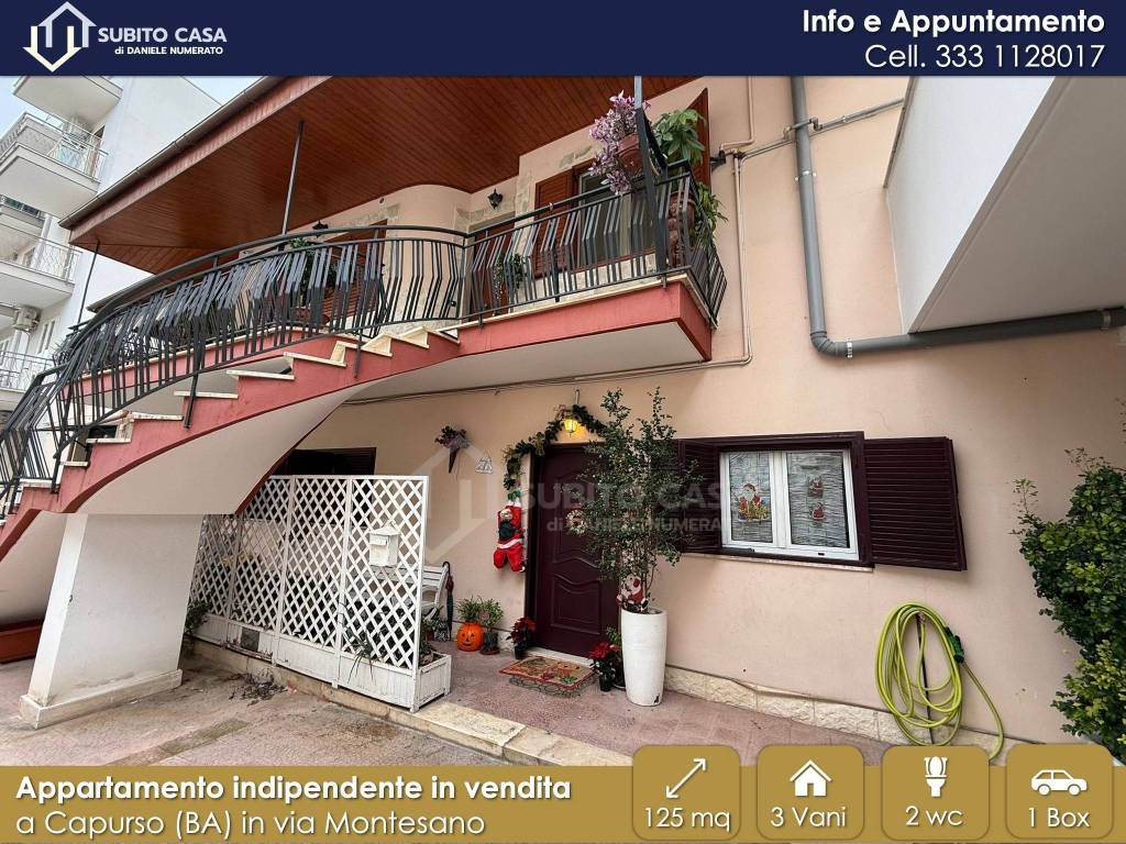 immagine annuncio 11 di 14