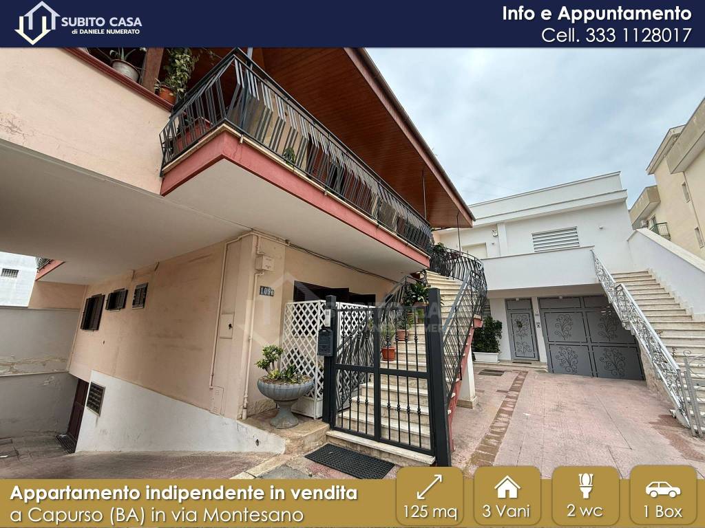immagine annuncio 12 di 14