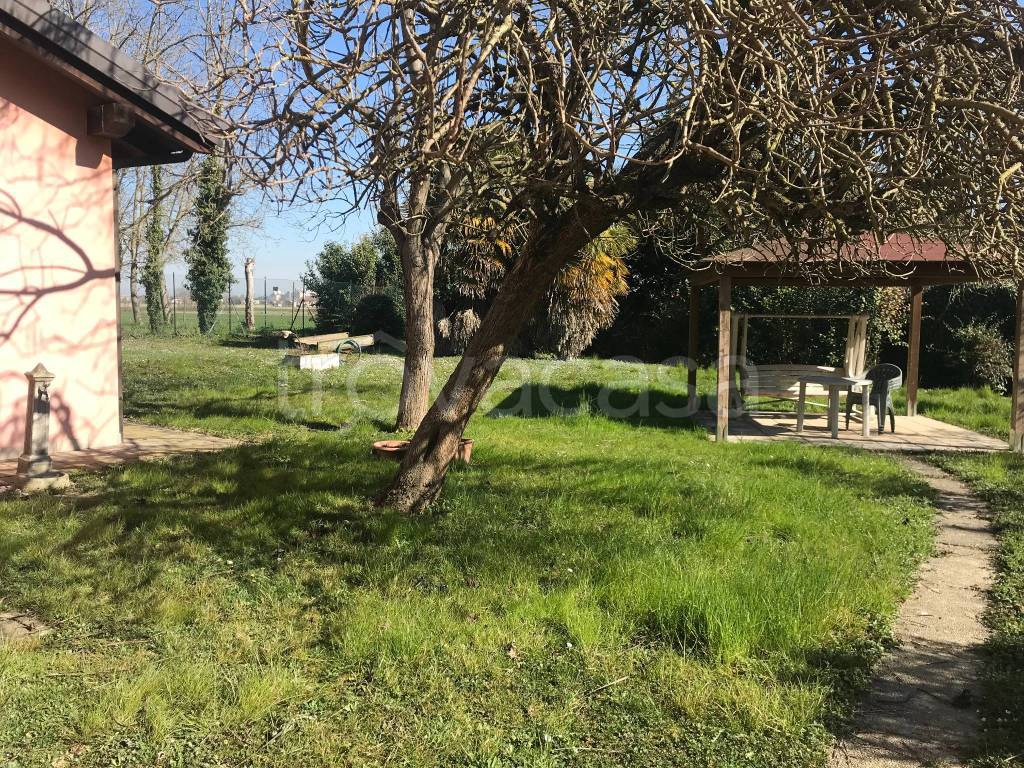 immagine annuncio 11 di 14