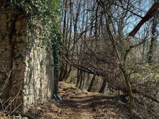 Terreno agricolo in vendita a cene via monte bo'