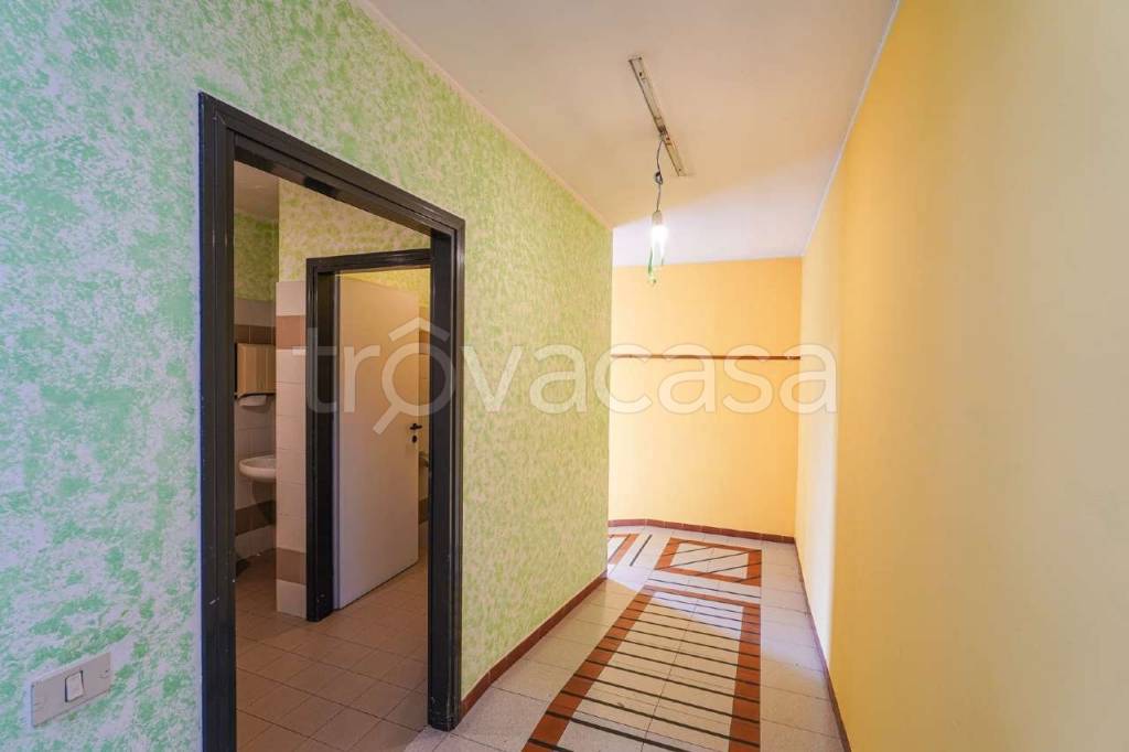 immagine annuncio 9 di 14