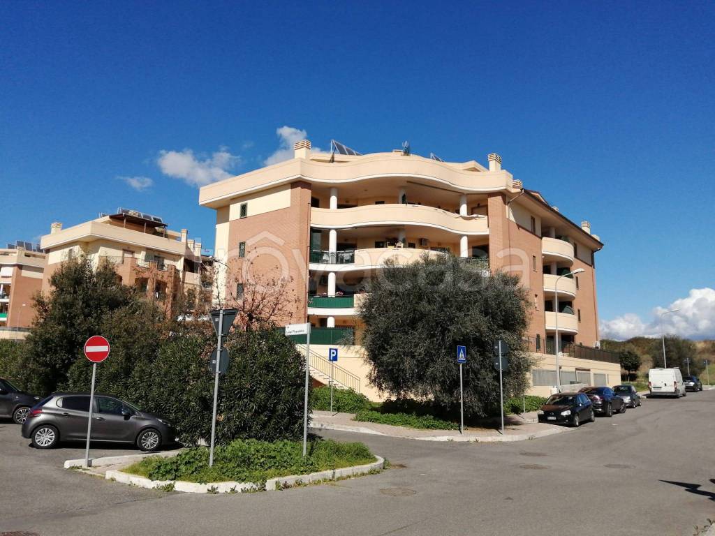immagine annuncio 13 di 15