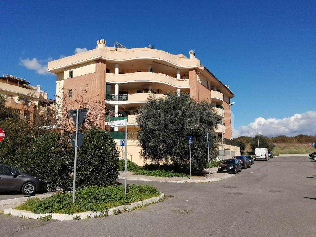 immagine annuncio 10 di 15