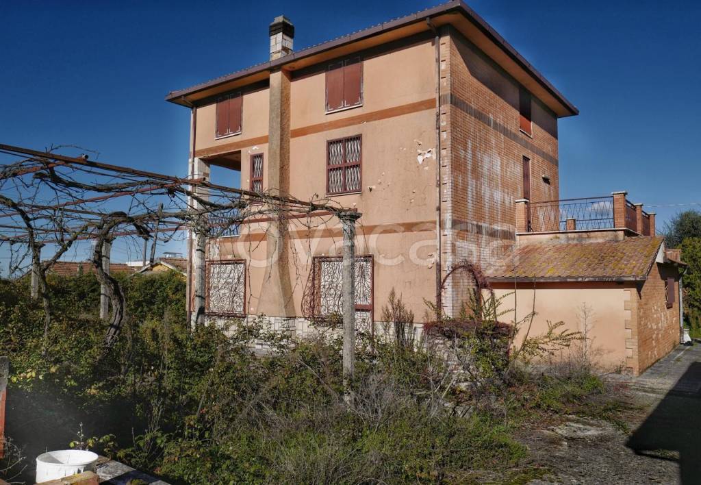 immagine annuncio 1 di 11