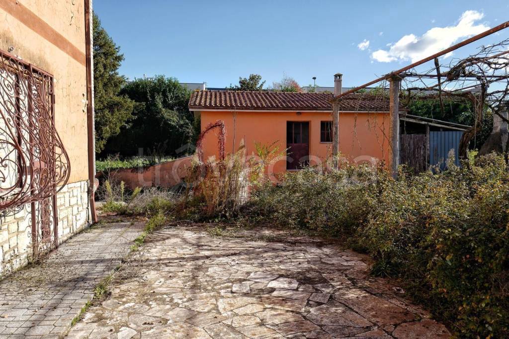 immagine annuncio 6 di 11