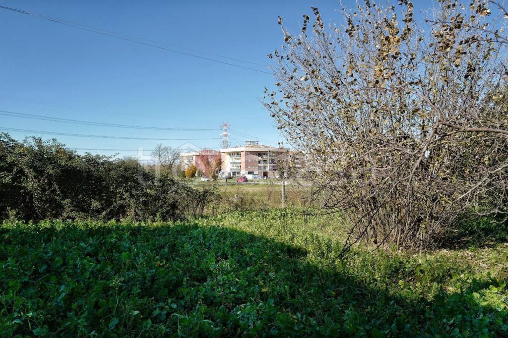 immagine annuncio 7 di 11