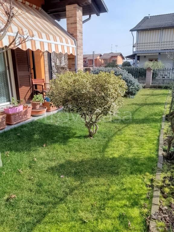 immagine annuncio 6 di 15