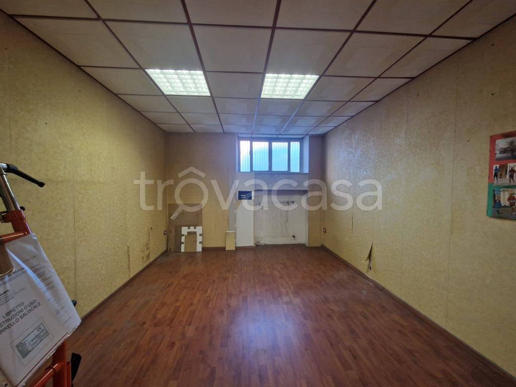 immagine annuncio 10 di 14