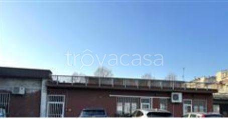 immagine annuncio 2 di 9