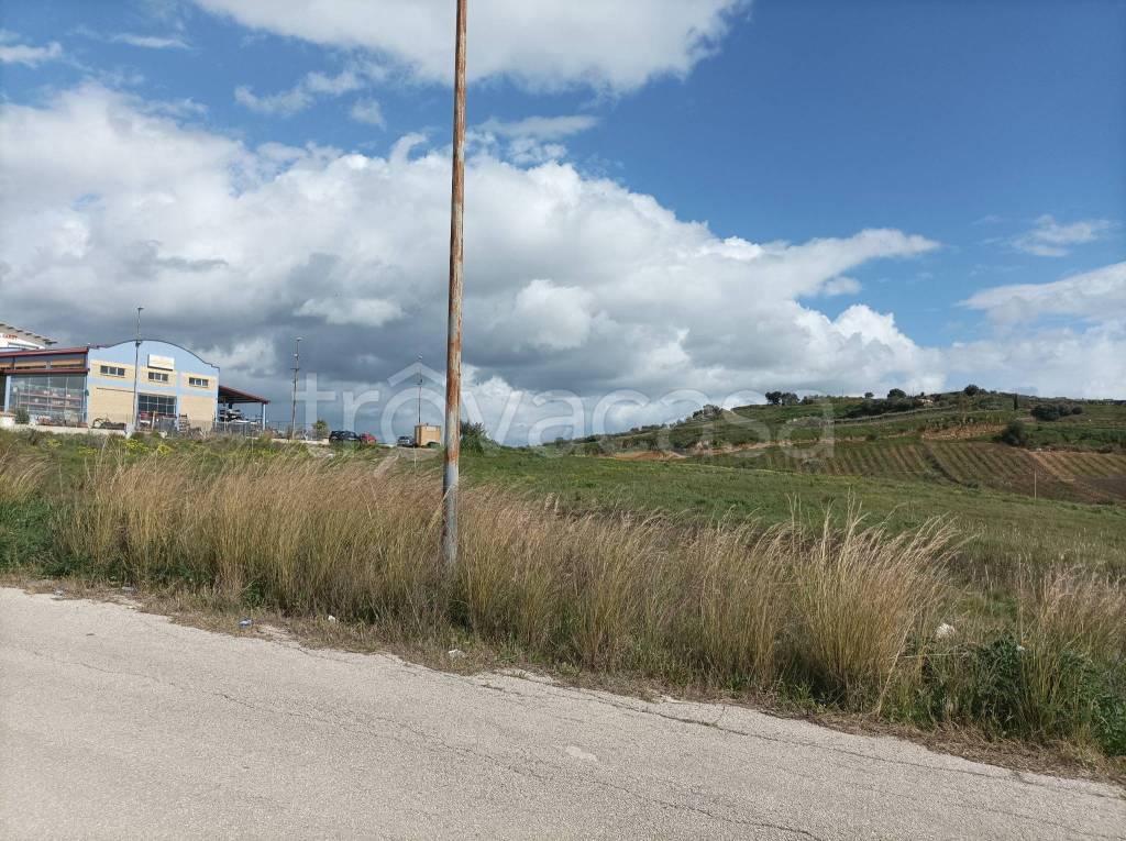immagine annuncio 3 di 8