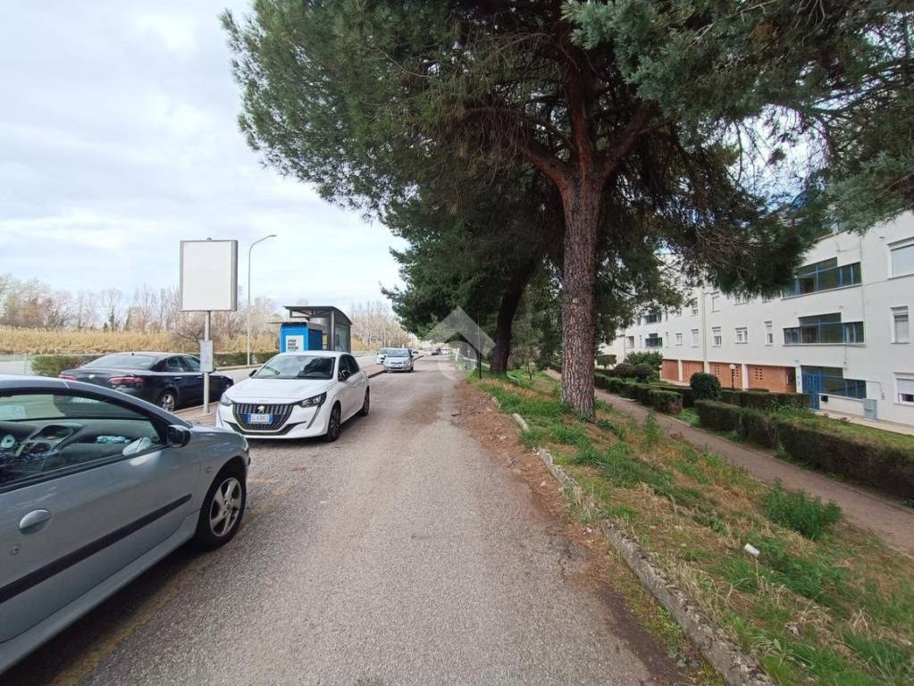 immagine annuncio 10 di 12