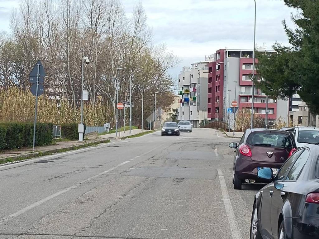immagine annuncio 11 di 12