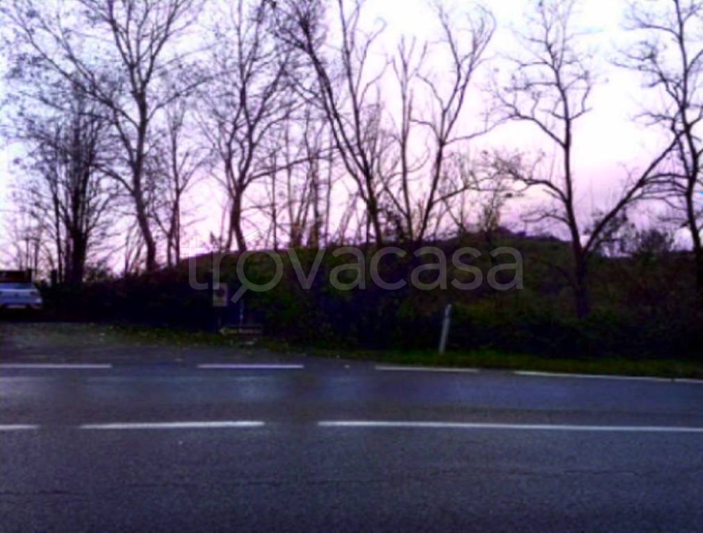 immagine annuncio 4 di 9