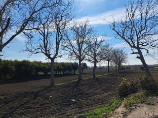 Terreno agricolo in vendita a maddaloni via nazionale appia, 517