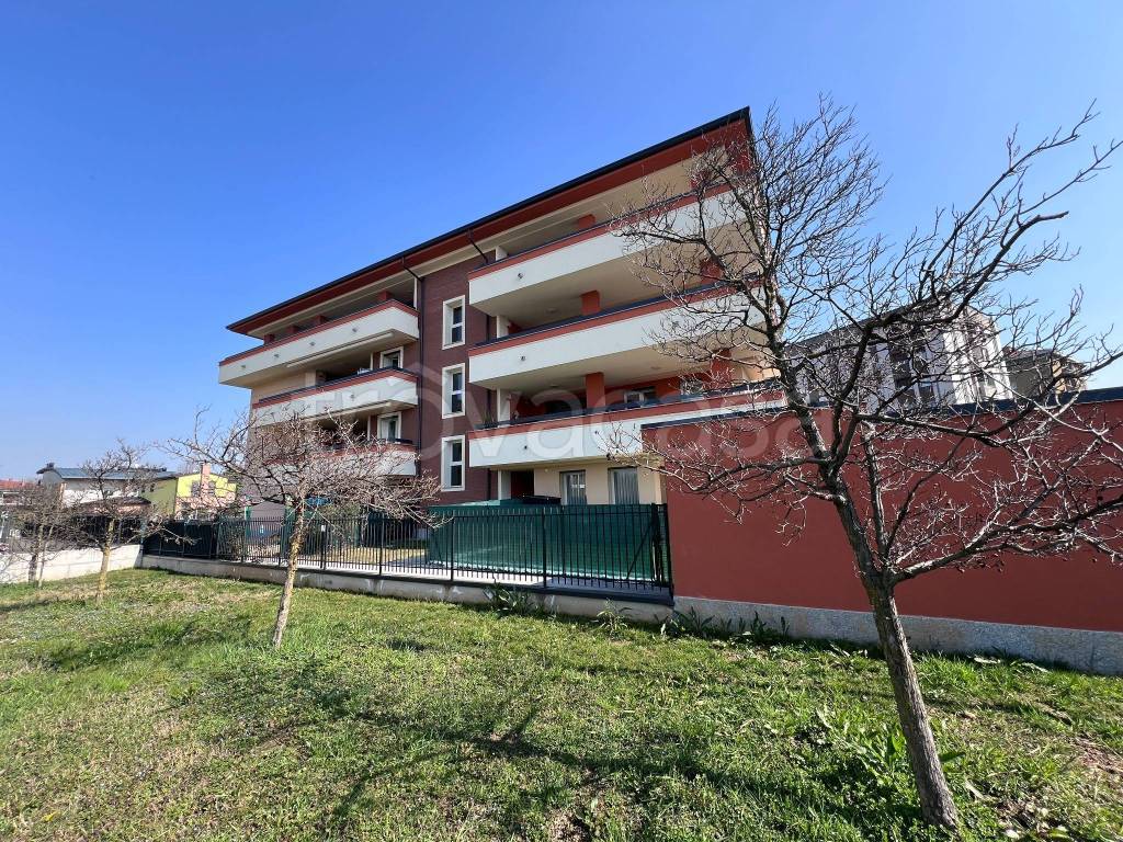 immagine annuncio 1 di 15