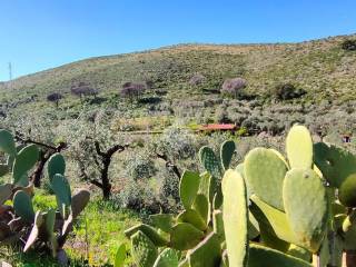 Terreno agricolo in vendita a gaeta via dell'agricoltura