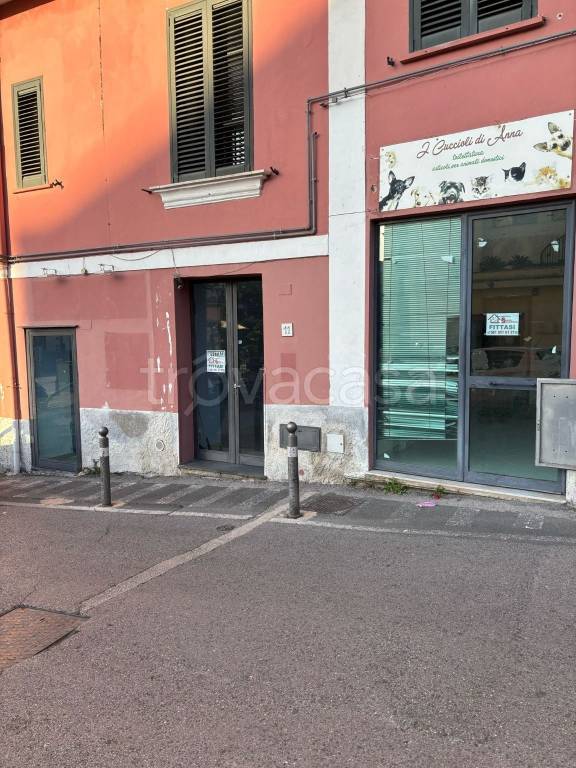 immagine annuncio 1 di 4