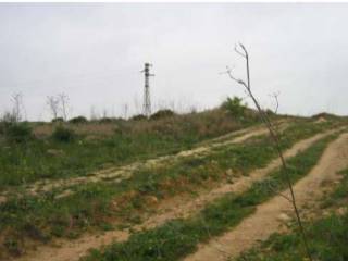 Terreno agricolo all'asta a butera contrada s. giacomo