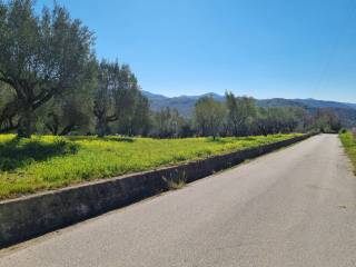 Terreno agricolo in vendita a vallo della lucania carmine