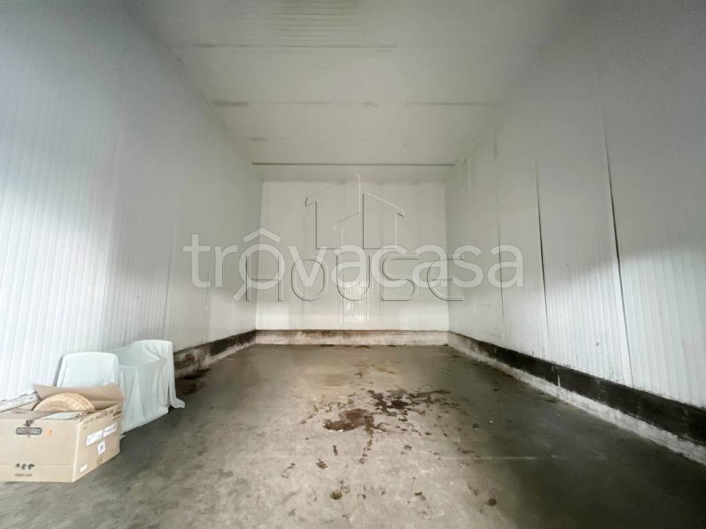 immagine annuncio 9 di 11