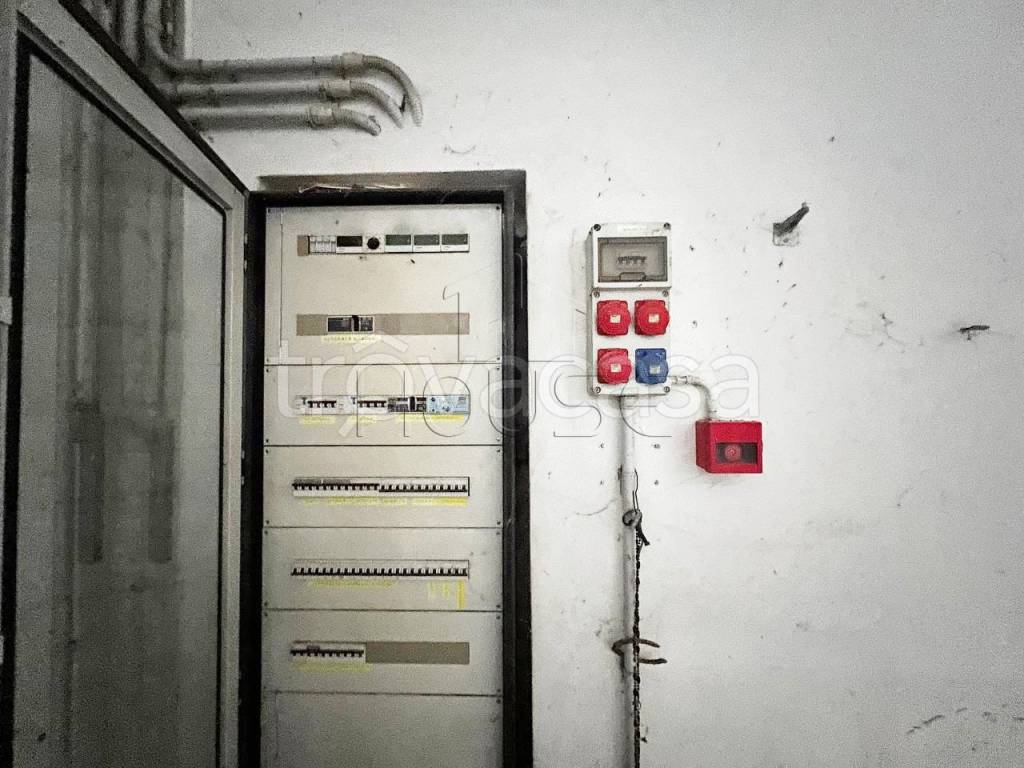 immagine annuncio 10 di 11