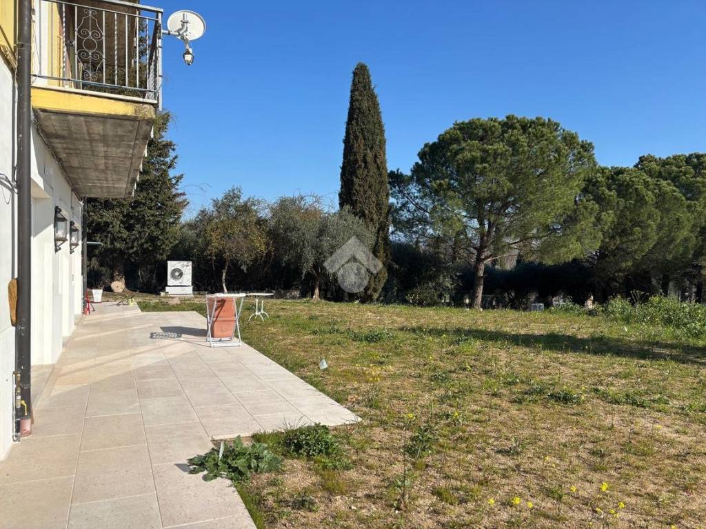 immagine annuncio 11 di 14