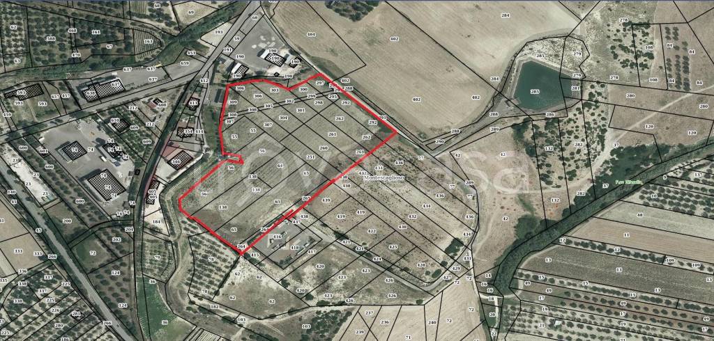 immagine annuncio 4 di 6