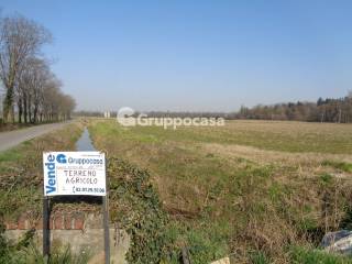 Terreno agricolo in vendita a magenta pietrasanta