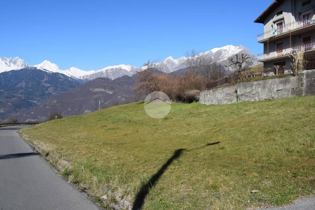 immagine annuncio 7 di 14