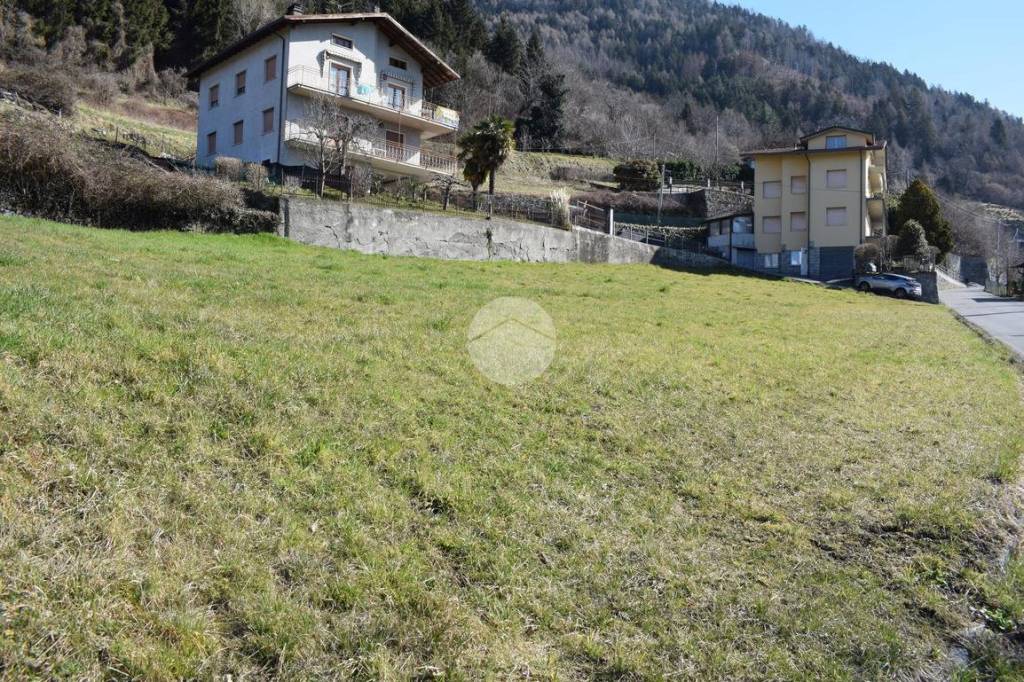 immagine annuncio 8 di 14