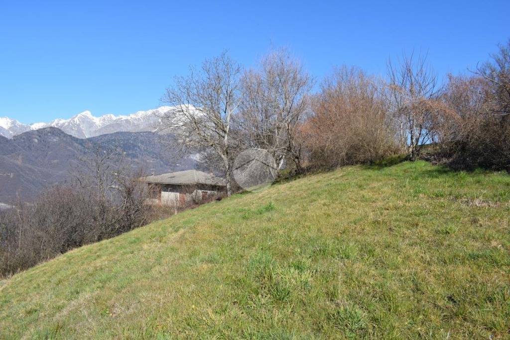 immagine annuncio 10 di 14