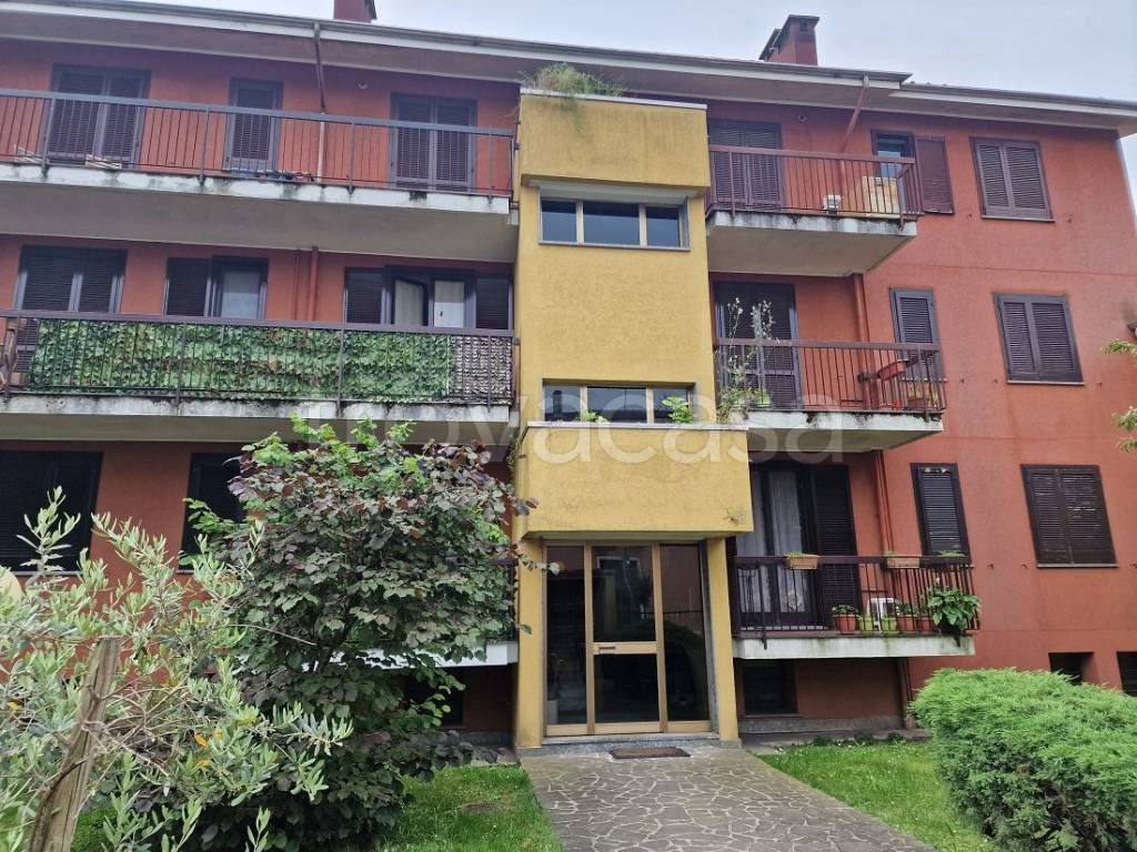 immagine annuncio 3 di 15