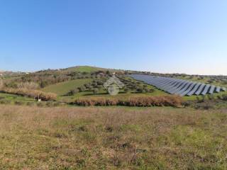 Terreno agricolo in vendita a giulianova via paduni, 1