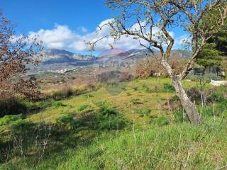 Terreno agricolo in vendita a santa cristina gela santa cristina gela