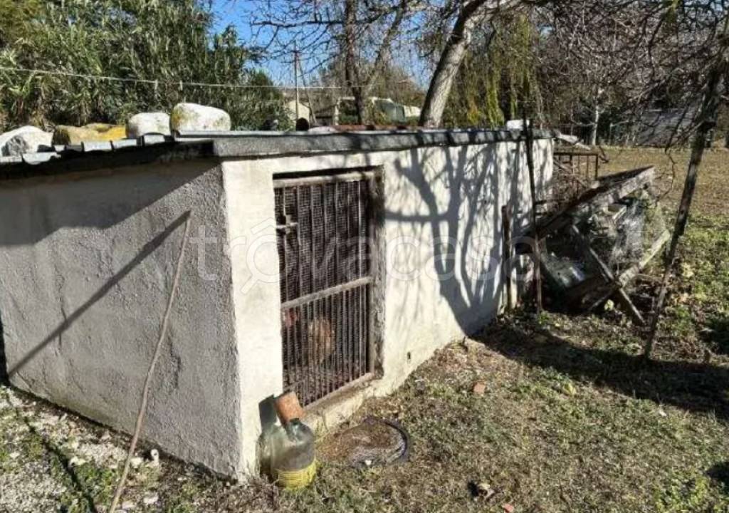 immagine annuncio 4 di 11