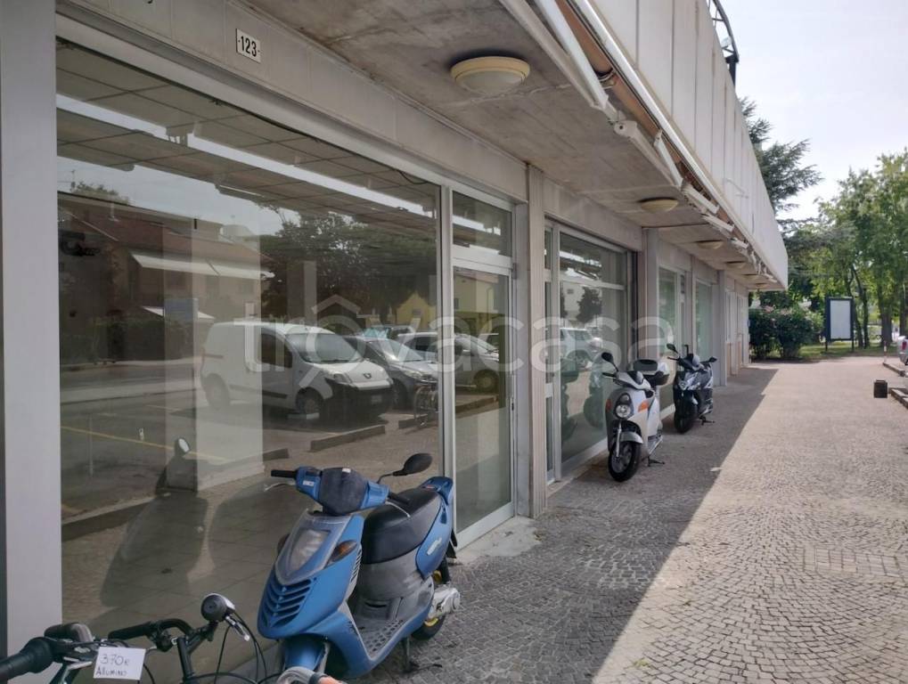 immagine annuncio 1 di 8