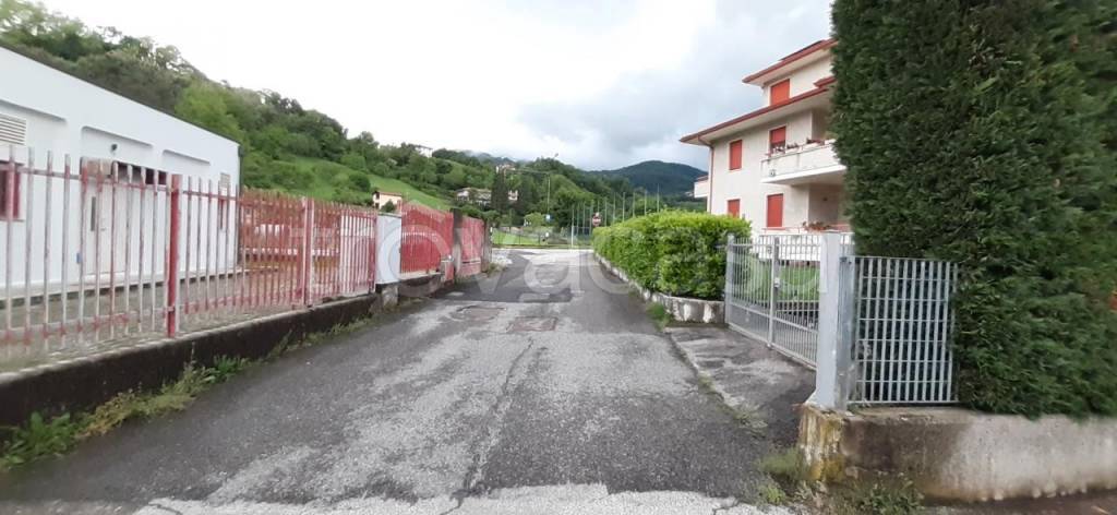 immagine annuncio 5 di 7
